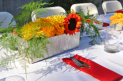 FOR MARRIAGE EQUALITY